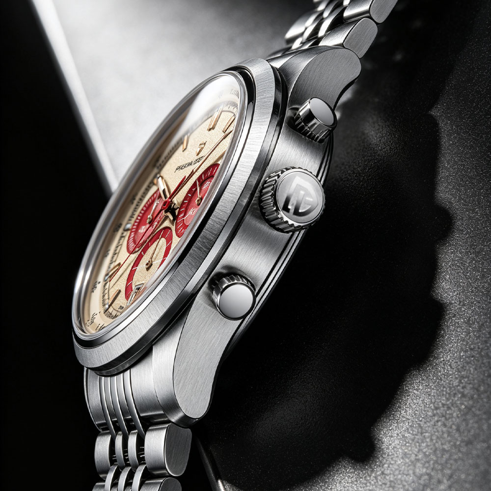 Chronograph Sport Watch - PAGANI DESIGN New Men Watch Luxury
