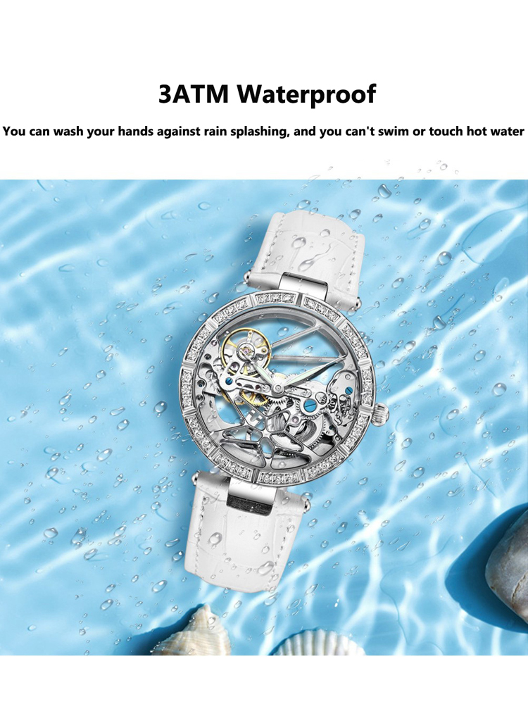 Luxury Skeleton Silver Dial Fa - đánh giá và giá Skeleton Mechanical Watch